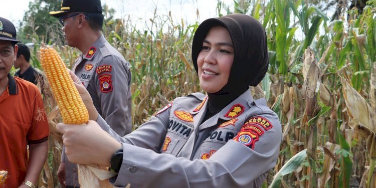 Keberhasilan Program Ketahanan Pangan: Kolaborasi Menuju Swasembada Jagung 2025