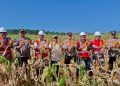 Program Gugus Tugas Ketahanan Pangan di Jambi Sukses Panen Jagung di 6 Polres