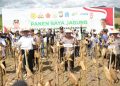 Kapolri dan Mentan Panen Raya Jagung di Bone Dukung Ketahanan Pangan Nasional