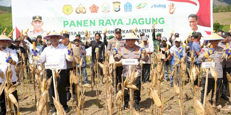 Kapolri dan Mentan Panen Raya Jagung di Bone Dukung Ketahanan Pangan Nasional