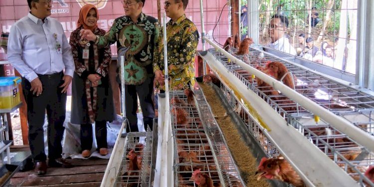 Kandang Merah Putih Bantu Masyarakat Disabilitas oleh Charoen Pokphand Indonesia