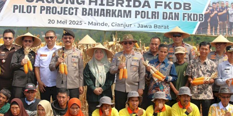 Panen raya jagung hibrida Kakorbinmas Baharkam Polri dan FKDB wujudkan ketahanan pangan nasional