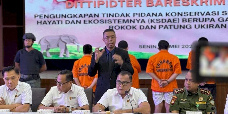 Ungkap Perdagangan Ilegal Gading Gajah di Sukabumi dan Jakarta oleh Dittipidter Bareskrim Polri
