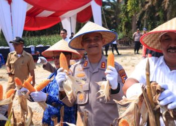 Kapolres Kampar Panen Raya Jagung Dukung Ketahanan Pangan Nasional
