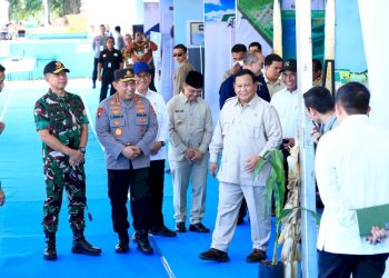 Gugus Tugas Ketahanan Pangan Tegaskan Komitmen Capai Misi Swasembada Jagung