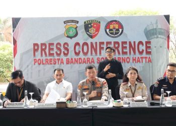 Penyelundupan Benih Lobster Senilai Rp 9,2 Miliar Gagal Di Bandara Soetta