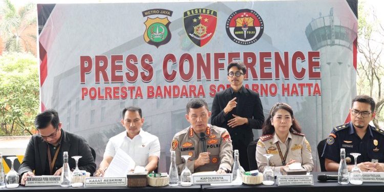 Penyelundupan Benih Lobster Senilai Rp 9,2 Miliar Gagal Di Bandara Soetta