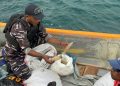 Lantamal X TNI AL Jayapura Tegakkan Hukum di Garis Depan Keamanan Laut