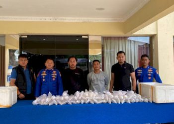 Polairud Gagalkan Penyelundupan 11543 Ekor Benih Lobster di Sukabumi