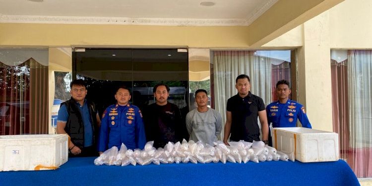 Polairud Gagalkan Penyelundupan 11543 Ekor Benih Lobster di Sukabumi