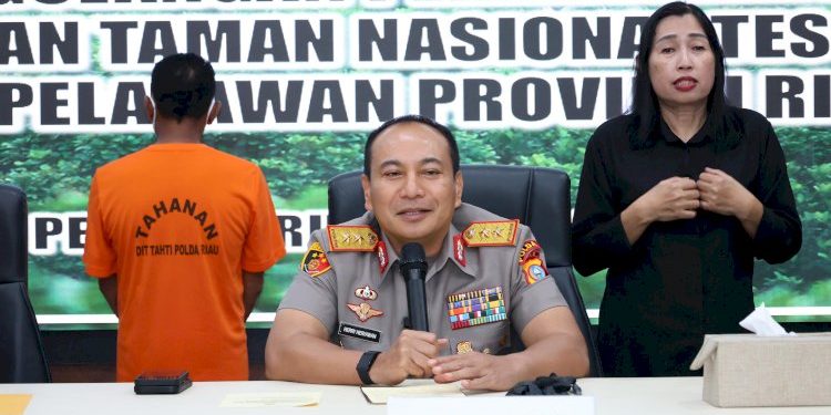 Penjualan Lahan Hutan Tesso Nilo Berujung Penangkapan oleh Polda Riau