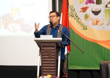 Kepala NFA Jamin Ketersediaan Pangan Menjelang Natal dan Tahun Baru Aman dan Terkendal