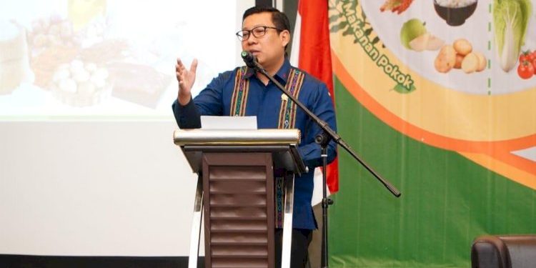 Kepala NFA Jamin Ketersediaan Pangan Menjelang Natal dan Tahun Baru Aman dan Terkendal