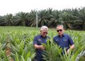 Pendanaan BPDPKS dan KUR Bunga Rendah Dukung Petani Program Swasembada Beras