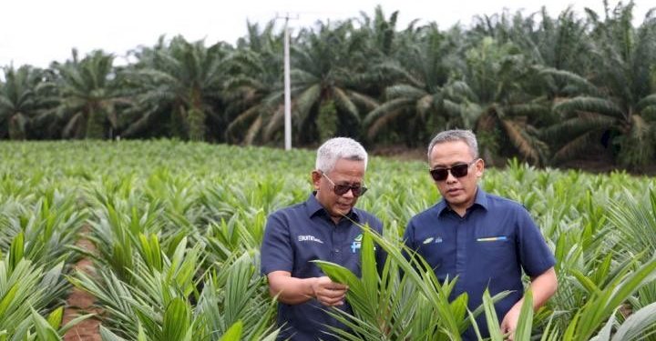 Pendanaan BPDPKS dan KUR Bunga Rendah Dukung Petani Program Swasembada Beras