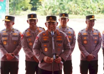 Ketahanan Pangan Bantul Dorong Swasembada Jagung Nasional