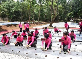 Program Akpol Semarang Sebagai Contoh Ketahanan Pangan yang Inspiratif