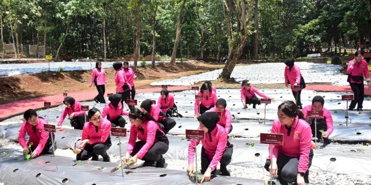 Program Akpol Semarang Sebagai Contoh Ketahanan Pangan yang Inspiratif