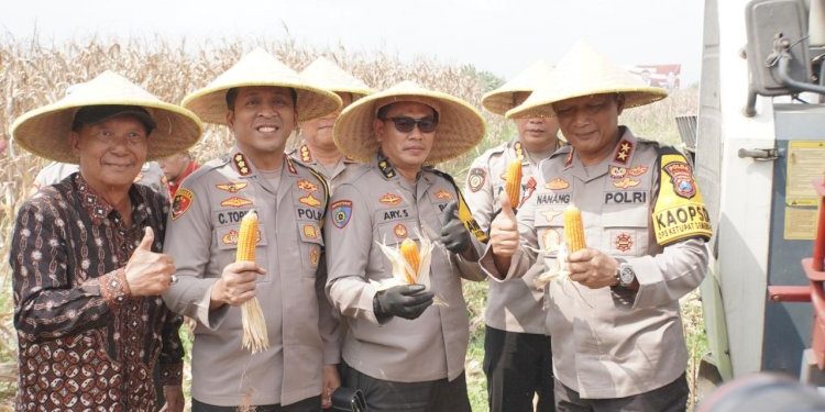 Kapolda Jatim Pimpin Panen Raya Jagung Hibrida di Sidoarjo