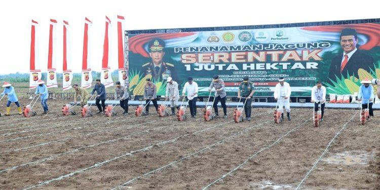 Sinergi Kementan dan Polri untuk Swasembada Jagung 2025 Target Produksi Tambahan 4 Juta Ton