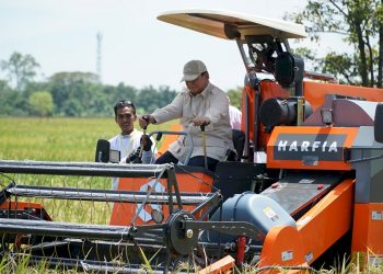 Pemerintah Hadirkan Pangan Pokok Terjangkau untuk Rakyat Indonesia