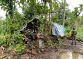 Respons Cepat Satgas Menyelamatkan Warga Sipil dari Percobaan Aksi Pembacokan OTK