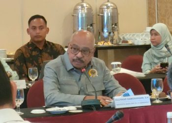 Koperasi Merah Putih Hentikan Masalah Distribusi Pupuk Subsidi untuk Petani