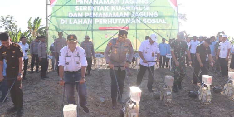 Dukung Ketahanan Pangan, Tanam Jagung di Lahan Hutan Sosial Wonosamodro oleh Forkopimda
