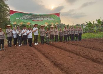 Penanaman Jagung Serentak di Bekasi Kota Dukung Ketahanan Pangan Nasional