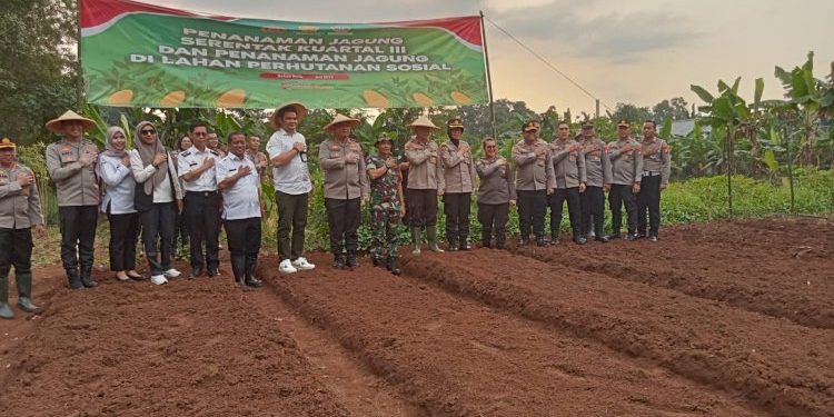 Penanaman Jagung Serentak di Bekasi Kota Dukung Ketahanan Pangan Nasional