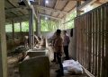 Polsek Musuk Tangani Kasus Pencurian Sapi, Imbau Warga Tingkatkan Kewaspadaan Lingkungan