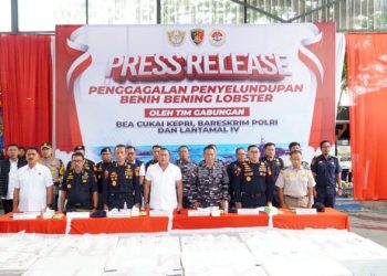 Penyelundupan 237305 Benih Bening Lobster Senilai 236 Miliar Rupiah