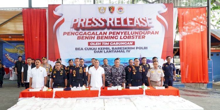 Penyelundupan 237305 Benih Bening Lobster Senilai 236 Miliar Rupiah