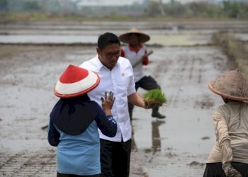 Cetak Sawah Sebagai Strategi Nasional Mengurangi Ketergantungan Impor Pangan