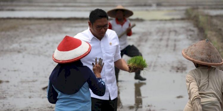 Cetak Sawah Sebagai Strategi Nasional Mengurangi Ketergantungan Impor Pangan