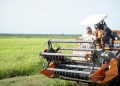 Pemerintah Siap Bangun Irigasi Tersier dan Benih Gratis untuk Petani Memodernkan Pertanian