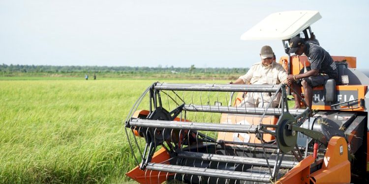 Pemerintah Siap Bangun Irigasi Tersier dan Benih Gratis untuk Petani Memodernkan Pertanian