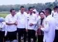 Program Pompanisasi Solusi Cepat Memenuhi Kebutuhan Air Persawahan Saat Gelombang Panas
