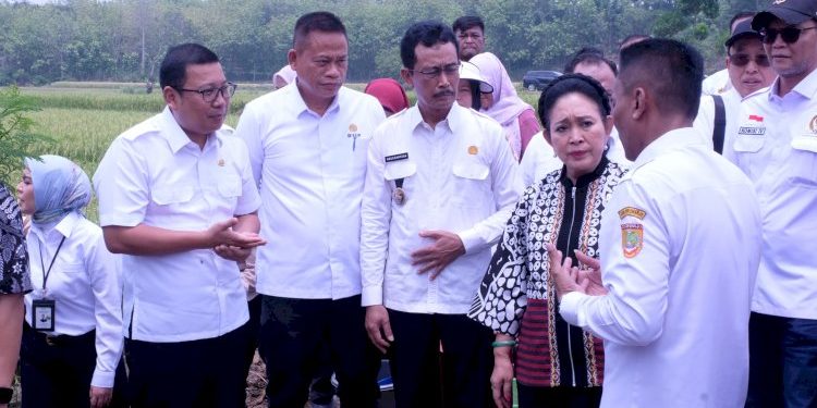 Program Pompanisasi Solusi Cepat Memenuhi Kebutuhan Air Persawahan Saat Gelombang Panas