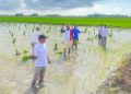 Penyederhanaan Alur Distribusi Pupuk Bersubsidi Langkah Konkret Mewujudkan Janji Kepada Petani