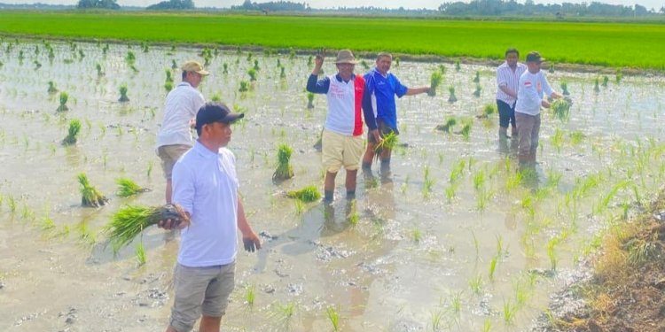 Penyederhanaan Alur Distribusi Pupuk Bersubsidi Langkah Konkret Mewujudkan Janji Kepada Petani