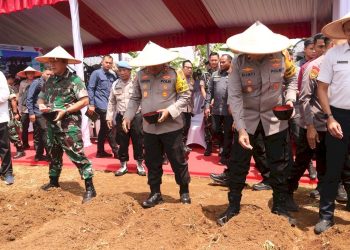 Dorong Ketahanan Pangan melalui Pemanfaatan Lahan Pekarangan di Metro Jaya