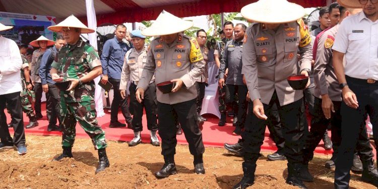 Dorong Ketahanan Pangan melalui Pemanfaatan Lahan Pekarangan di Metro Jaya