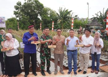 Panen Cabai Perdana Dandim 0508/Depok untuk Mendukung Ketahanan dan Swasembada Pangan