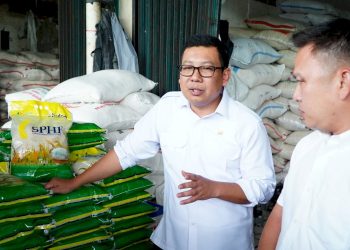 Perkembangan Harga Jelang Nataru, Pemerintah Upayakan Stabilitas Harga yang Seimbang