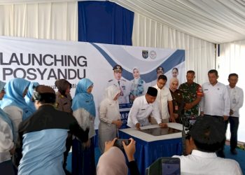 Enam Standar Pelayanan Minimal Diterapkan di Posyandu Depok