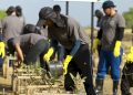 Kolaborasi Instansi Hijaukan Pesisir Tanjung Benoa dengan Penanaman Mangrove