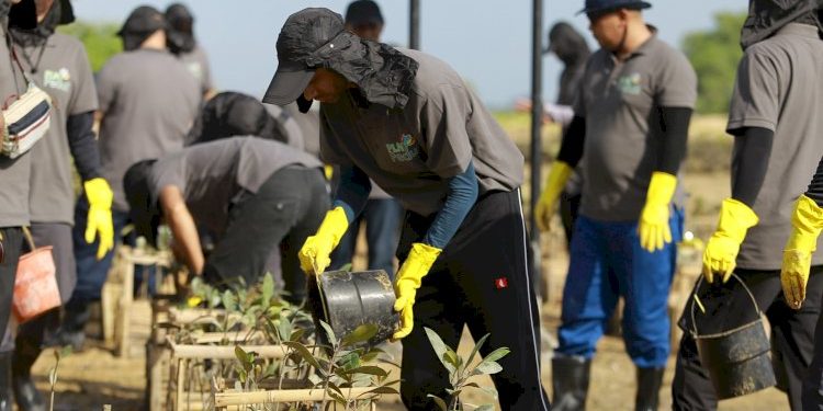 Kolaborasi Instansi Hijaukan Pesisir Tanjung Benoa dengan Penanaman Mangrove