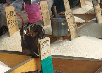 Akademisi menyebut beras oplosan tidak memenuhi standar mutu dan perlu pengawasan ketat