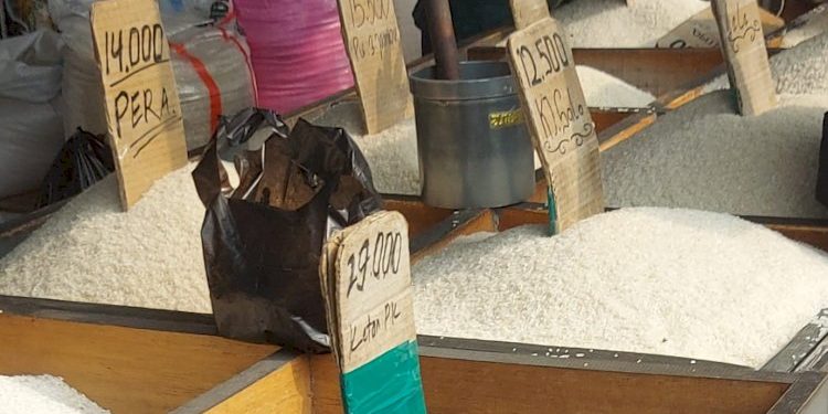 Akademisi menyebut beras oplosan tidak memenuhi standar mutu dan perlu pengawasan ketat